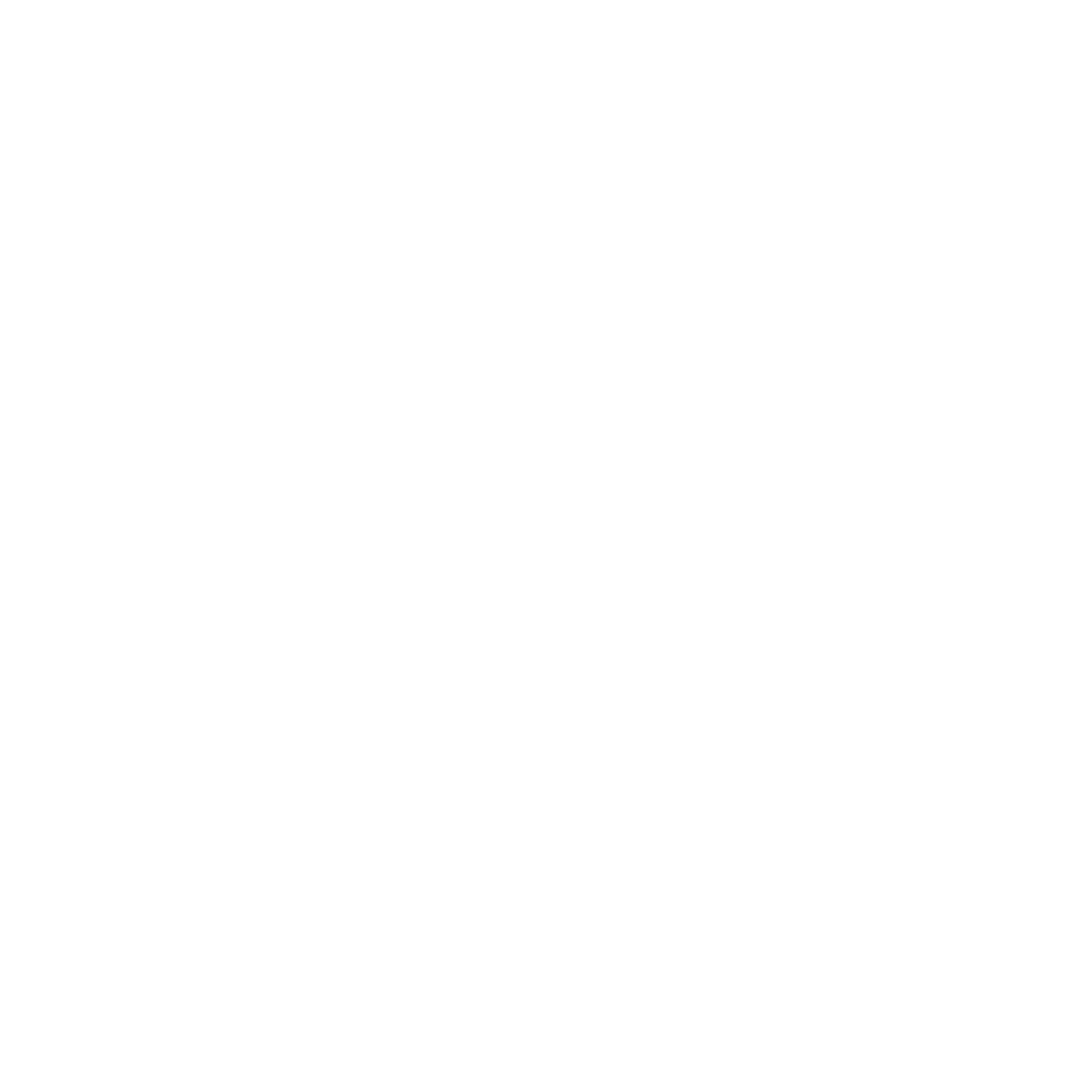Bydgoska Akademia Dawnych Sztuk Walki